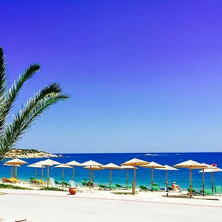 In The Garden By The Sea Sykia