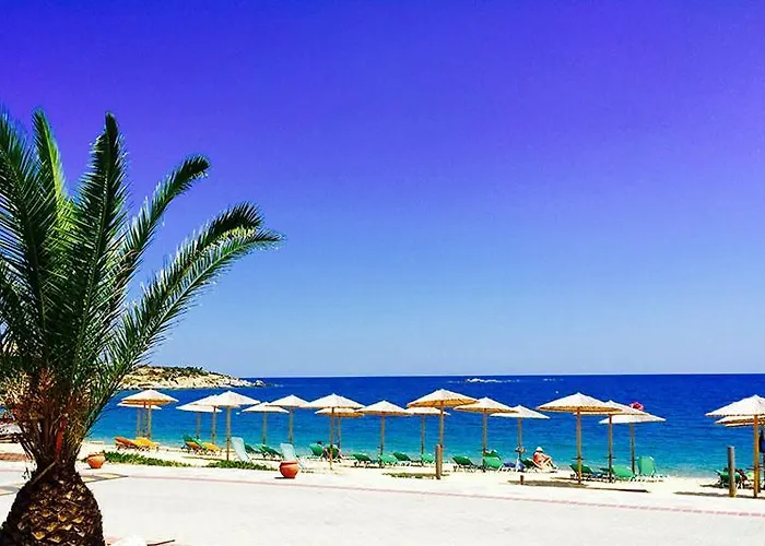 In The Garden By The Sea Συκιά